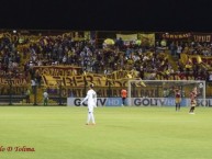 Foto: Barra: Revolución Vinotinto Sur • Club: Tolima • País: Colombia