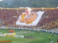 Foto: "Lechona" Barra: Revolución Vinotinto Sur • Club: Tolima