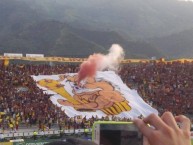 Foto: Barra: Revolución Vinotinto Sur • Club: Tolima