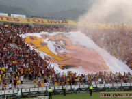 Foto: "Lechona" Barra: Revolución Vinotinto Sur • Club: Tolima • País: Colombia