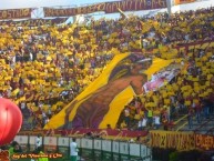 Foto: "El pijao cazando al leopardo" Barra: Revolución Vinotinto Sur • Club: Tolima • País: Colombia