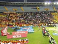 Foto: Barra: Revolución Vinotinto Sur • Club: Tolima • País: Colombia