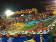 Foto: Barra: Revolución Vinotinto Sur • Club: Tolima