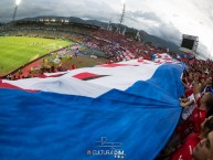 Foto: "Cultura DIM" Barra: Rexixtenxia Norte • Club: Independiente Medellín • País: Colombia