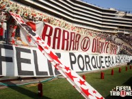 Foto: Barra: Trinchera Norte • Club: Universitario de Deportes