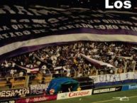 Foto: Barra: Ultra Morada • Club: Saprissa