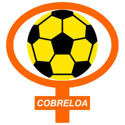 Upload - Huracan Naranja - Cobreloa