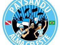 Desenho - Diseño - Arte - Dibujo de la Barra: Alma Celeste • Club: Paysandu