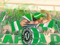 Desenho - Diseño - Arte - "Barra Brava" Dibujo de la Barra: Barra da Chape • Club: Chapecoense