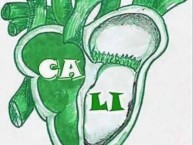 Desenho - Diseño - Arte - Dibujo de la Barra: Frente Radical Verdiblanco • Club: Deportivo Cali