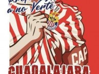 Desenho - Diseño - Arte - Dibujo de la Barra: La Irreverente • Club: Chivas Guadalajara • País: México