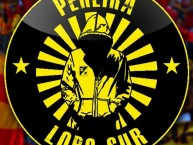 Desenho - Diseño - Arte - Dibujo de la Barra: Lobo Sur • Club: Pereira