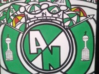 Desenho - Diseño - Arte - Dibujo de la Barra: Nación Verdolaga • Club: Atlético Nacional