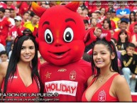 Hincha - Tribunera - Chica - Fanatica de la Barra: Baron Rojo Sur • Club: América de Cáli