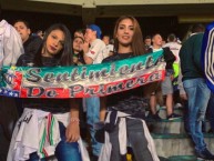 Hincha - Tribunera - Chica - Fanatica de la Barra: Holocausto Norte • Club: Once Caldas