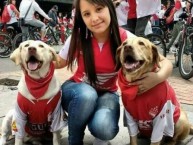 Hincha - Tribunera - Chica - Fanatica de la Barra: La Guardia Albi Roja Sur • Club: Independiente Santa Fe