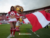 Hincha - Tribunera - Chica - Fanatica de la Barra: La Guardia Albi Roja Sur • Club: Independiente Santa Fe