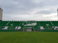 Mural - Graffiti - Pintada - Mural de la Barra: Frente Radical Verdiblanco • Club: Deportivo Cali