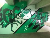 Mural - Graffiti - Pintada - Mural de la Barra: Frente Radical Verdiblanco • Club: Deportivo Cali