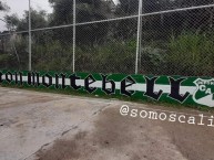 Mural - Graffiti - Pintada - Mural de la Barra: Frente Radical Verdiblanco • Club: Deportivo Cali