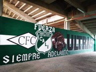 Mural - Graffiti - Pintada - Mural de la Barra: Frente Radical Verdiblanco • Club: Deportivo Cali