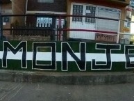 Mural - Graffiti - Pintada - Mural de la Barra: Los del Sur • Club: Atlético Nacional