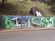 Mural - Graffiti - Pintadas - Mural de la Barra: Los del Sur • Club: Atlético Nacional • País: Colombia