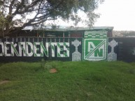 Mural - Graffiti - Pintada - Mural de la Barra: Nación Verdolaga • Club: Atlético Nacional