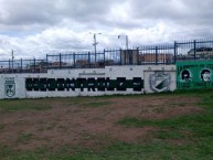 Mural - Graffiti - Pintada - Mural de la Barra: Nación Verdolaga • Club: Atlético Nacional