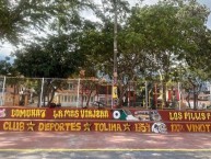 Mural - Graffiti - Pintadas - Mural de la Barra: Revolución Vinotinto Sur &bull; Club: Tolima &bull; País: Colombia