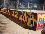 Mural - Graffiti - Pintadas - Mural de la Barra: Revolución Vinotinto Sur &bull; Club: Tolima &bull; País: Colombia