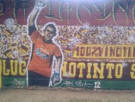 Mural - Graffiti - Pintada - Mural de la Barra: Revolución Vinotinto Sur • Club: Tolima