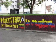 Mural - Graffiti - Pintada - Mural de la Barra: Revolución Vinotinto Sur • Club: Tolima