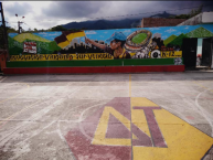 Mural - Graffiti - Pintada - Mural de la Barra: Revolución Vinotinto Sur • Club: Tolima