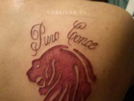 Tattoo - Tatuaje - tatuagem - Tatuaje de la Barra: Los Lilas • Club: Club Deportes Concepción