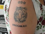 Tattoo - Tatuaje - tatuagem - Tatuaje de la Barra: Os Tigres • Club: Criciúma