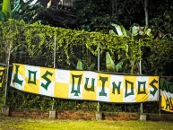 Trapo - Bandeira - Faixa - Telón - Trapo de la Barra: Artillería Verde Sur • Club: Deportes Quindío