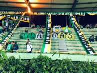 Trapo - Bandeira - Faixa - Telón - Trapo de la Barra: Artillería Verde Sur &bull; Club: Deportes Quindío