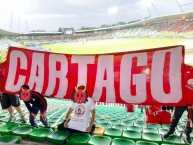 Trapo - Bandeira - Faixa - Telón - Trapo de la Barra: Baron Rojo Sur • Club: América de Cáli