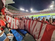 Trapo - Bandeira - Faixa - Telón - Trapo de la Barra: Baron Rojo Sur • Club: América de Cáli