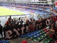 Trapo - Bandeira - Faixa - Telón - Trapo de la Barra: Baron Rojo Sur • Club: América de Cáli