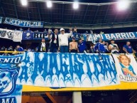 Trapo - Bandeira - Faixa - Telón - Trapo de la Barra: Comandos Azules • Club: Millonarios