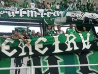 Trapo - Bandeira - Faixa - Telón - Trapo de la Barra: Frente Radical Verdiblanco • Club: Deportivo Cali