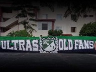 Trapo - Bandeira - Faixa - Telón - Trapo de la Barra: Frente Radical Verdiblanco • Club: Deportivo Cali • País: Colombia