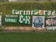 Trapo - Bandeira - Faixa - Telón - Trapo de la Barra: Frente Radical Verdiblanco • Club: Deportivo Cali