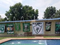 Trapo - Bandeira - Faixa - Telón - Trapo de la Barra: Frente Radical Verdiblanco • Club: Deportivo Cali