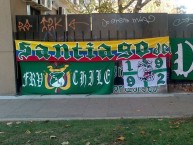 Trapo - Bandeira - Faixa - Telón - Trapo de la Barra: Frente Radical Verdiblanco &bull; Club: Deportivo Cali