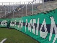 Trapo - Bandeira - Faixa - Telón - Trapo de la Barra: Frente Radical Verdiblanco • Club: Deportivo Cali