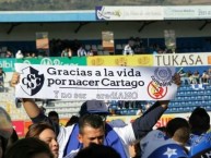 Trapo - Bandeira - Faixa - Telón - Trapo de la Barra: Fuerza Azul • Club: Cartaginés