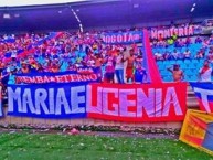 Trapo - Bandeira - Faixa - Telón - Trapo de la Barra: Garra Samaria Norte • Club: Unión Magdalena